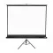 Apollo 96”x96” Tripod Projection Screen
