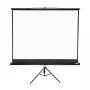 Apollo 96”x96” Tripod Projection Screen