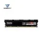 Vaseky DDR3 8GB 1600MHz Desktop Ram