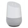 Google Home Smart Assistant & Smart Speaker