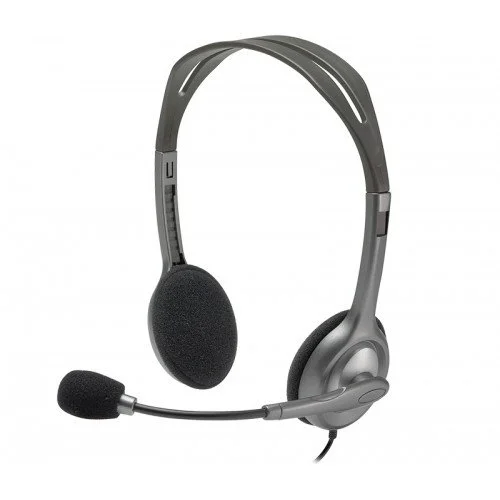 Logitech H110 STEREO Headset (two port)