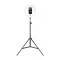 Havit Tripod With 10 Inches RING LIGHT for Live Streaming ST7012I
