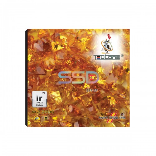 Teutons IRIDIUM 256GB 2280 M.2 SSD