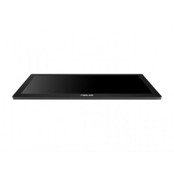 ASUS MB169BR+ 15.6