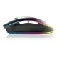 Gamdias Zeus P1 RGB Optical Gaming Mouse