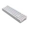 RK ROYAL KLUDGE RK71 RGB Mechanical Gaming Keyboard White