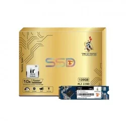 TEUTONS 120GB NVME M.2 SSD