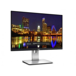 Dell U2415 24