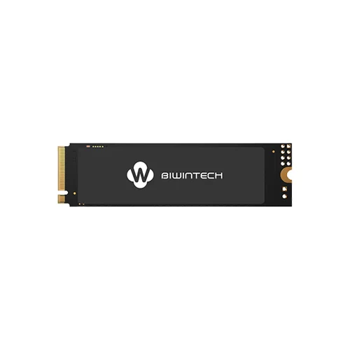 Biwintech NX500 256GB M.2 2280 PCIe NVMe SSD