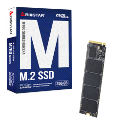 Biostar M760 256GB M.2 NVMe SSD