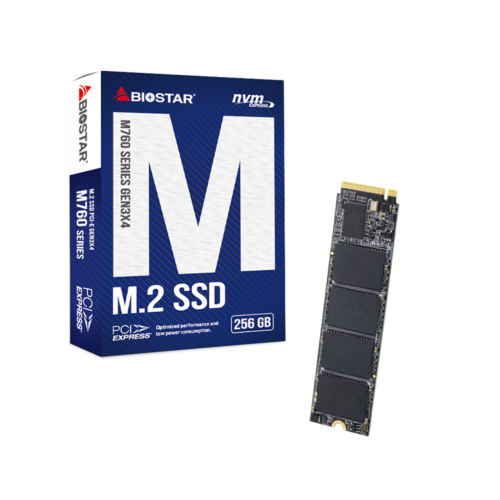 Biostar M760 256GB M.2 NVMe SSD
