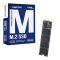 Biostar M760 256GB M.2 NVMe SSD