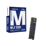 Biostar M760 256GB M.2 NVMe SSD
