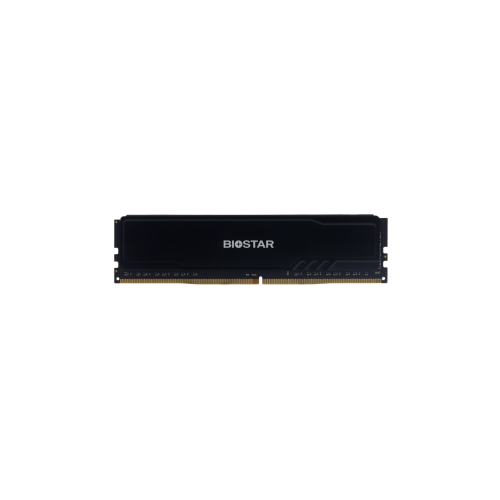 Biostar Storming V DDR4-3200 MHz Ram