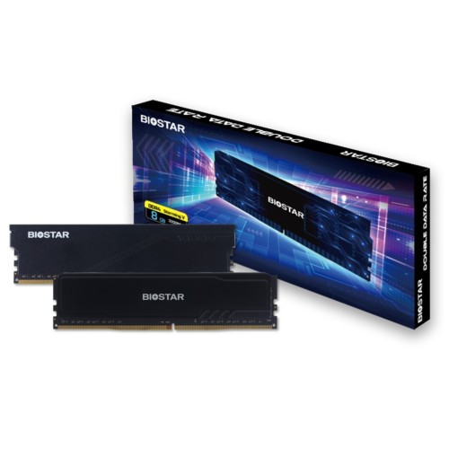 Biostar Storming V DDR4-3200 MHz Ram
