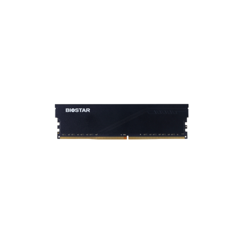 Biostar Storming V DDR4-3200 MHz Ram