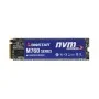 Biostar M760 256GB M.2 NVMe SSD