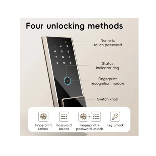 Deli ET595 Fingerprint Password Digital Safe Box