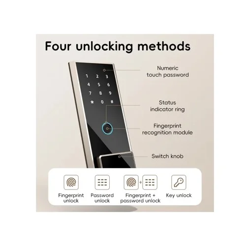 Deli ET596 Fingerprint Password Digital Safe Box