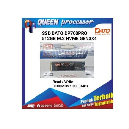 DATO DP700 PRO 512GB M2 NVME GEN3X4 SSD