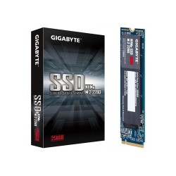 Gigabyte 256GB NVMe M.2 SSD