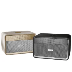 HiFuture Passion X Multimedia Bluetooth Speaker