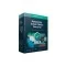 Kaspersky Small Office Security 1 Server 10 User