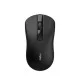 Rapoo B20 Silent Wireless Optical Mouse