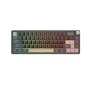 Royal Kludge RK R65 Wired RGB Hot Swap Mechanical Gaming Keyboard