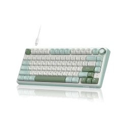 ROYAL KLUDGE RK R75 RGB Hot-Swappable Mechanical Keyboard