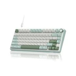 ROYAL KLUDGE RK R75 RGB Hot-Swappable Mechanical Keyboard