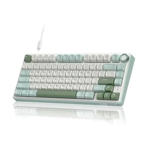 Royal Kludge RK R75 RGB Hot-Swappable Mechanical Keyboard