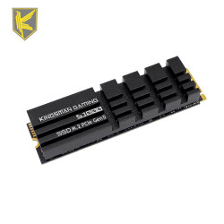 AITC Kingsman Gaming S1000 Gen5 M.2 NVMe 1TB SSD