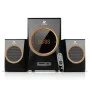 Xtreme Win Bluetooth 2:1 Multimedia Speaker With Remote